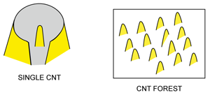 Fig. 10: Microstructure of CNT