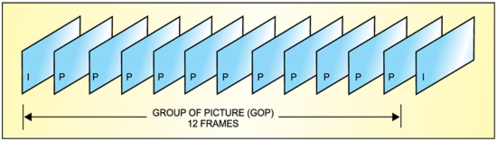 Fig. 4: Group of pictures