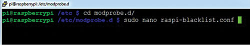 Fig. 2: Editing the raspi-blacklist.conf file