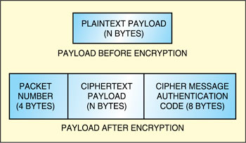 Fig. 5: Encrypted payload format in counter with cipher block chaining-MAC mode of AES