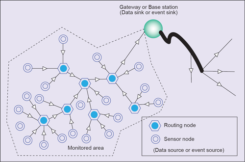 Fig. 1: Monitored area with wsn network
