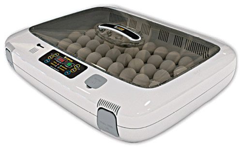 Hatching Eggs Electronically