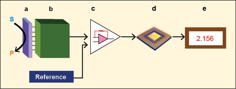 Schematic diagram showing the main components of a biosensor