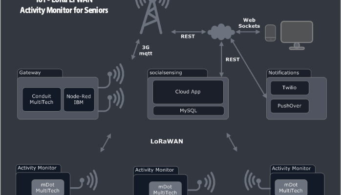 LoRaWAN: One Small Step in Data Transmission, A Giant Leap for IoT
