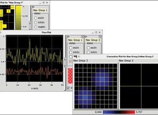 Multi-Level Neuronal Simulation Using iqr