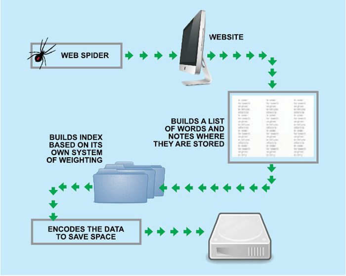 Fig. 2: How spider software works