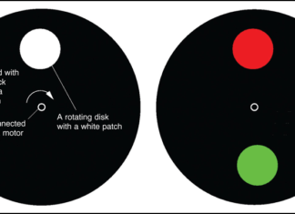 Dual-Colour Stroboscope