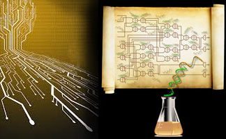 Square Root Generator Circuit