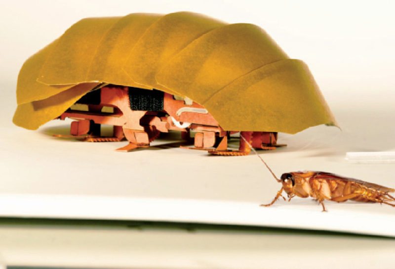 CRAM, the compressible robot, with a real cockroach (Image courtesy: www.cbsnews.com)