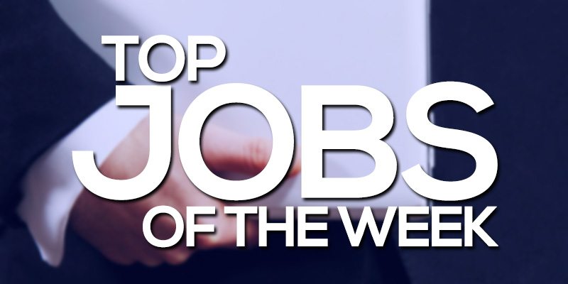 Top Freshers Job of the Week (15 – 21 August)