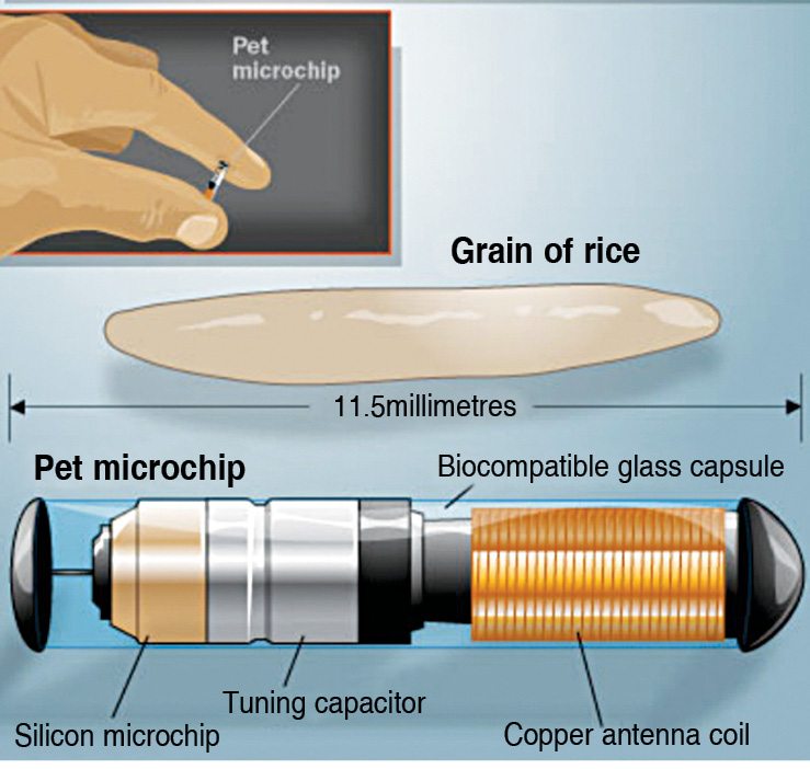 Fig. 2: Components of a microchip
