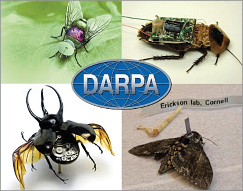 Cyborg insects developed by DARPA