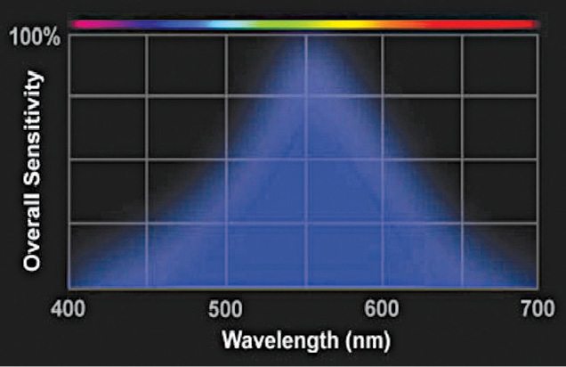 Response of human eye to different wavelengths