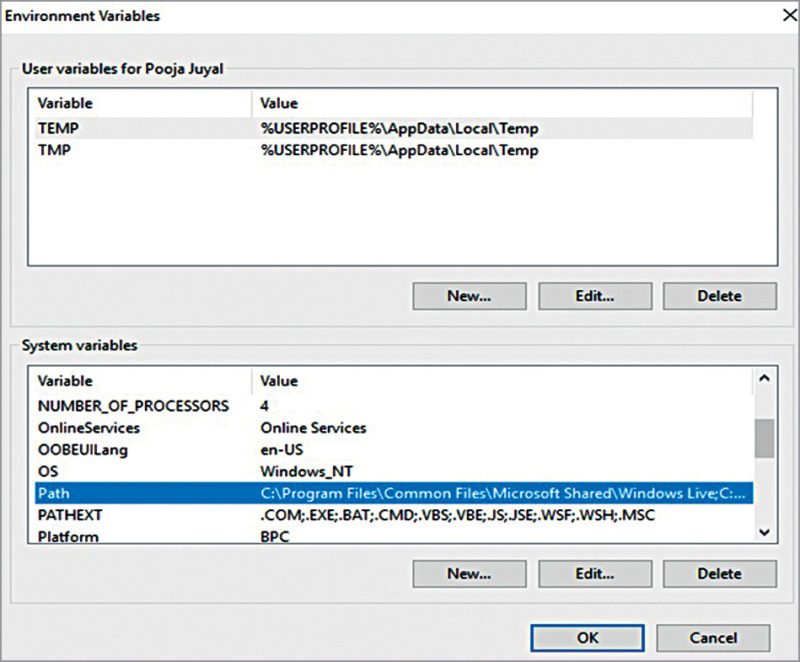 Path under System Variables