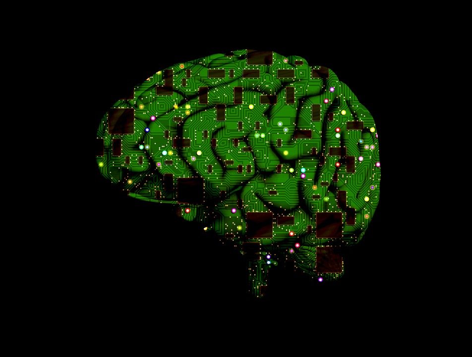 Developing Brain-Like Data Processing Device