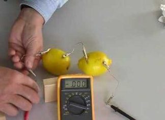 Beginner’s DIY: Create a Lemon Battery
