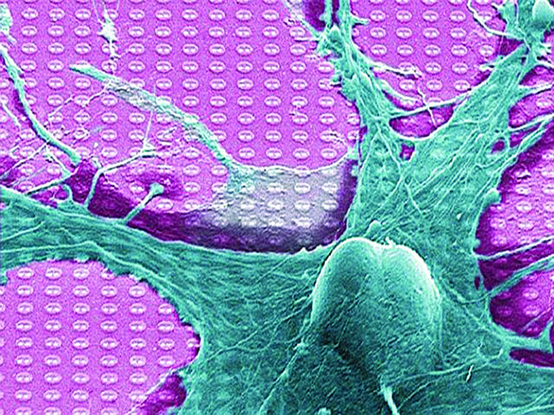 Neuristors are brain-like computer chips (Image courtesy: www.neoteo.com)