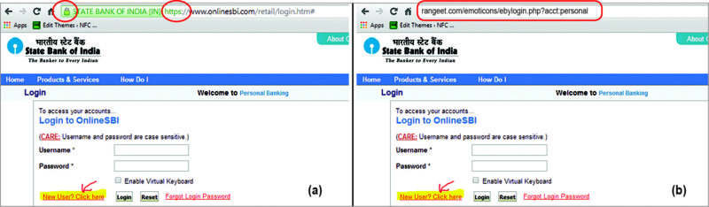 (a) Original State bank website for Internet banking, and (b) mimic website example