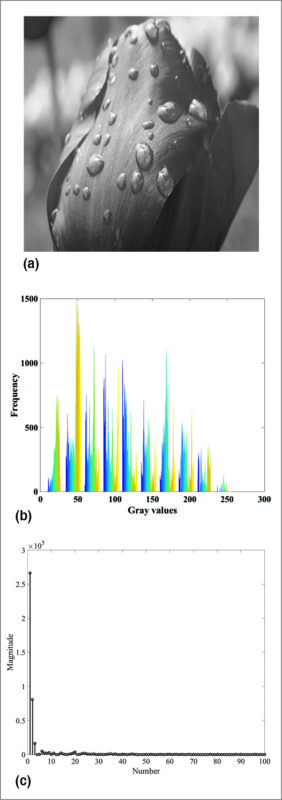 (a) Original image, (b) Spatial domain (histogram) and (c) Sparse representation