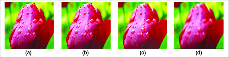 (a) Original image and (b)-(d) compressed versions using DCT