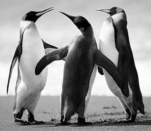 Image processing using MATLAB: Basic operations