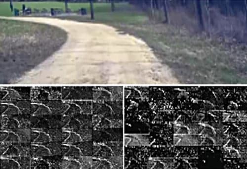 How the CNN sees an unpaved road. Top: Camera image sent to the CNN; bottom left: activation of the first-layer feature maps; bottom right: activation of the second-layer feature maps