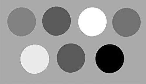 Grayscale version of the image in Fig. 14