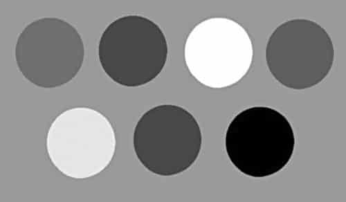 RGB image in Fig. 11 converted into grayscale image