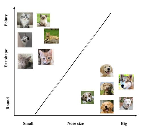 A trained linear model (dotted lines) separating the two classes of animals