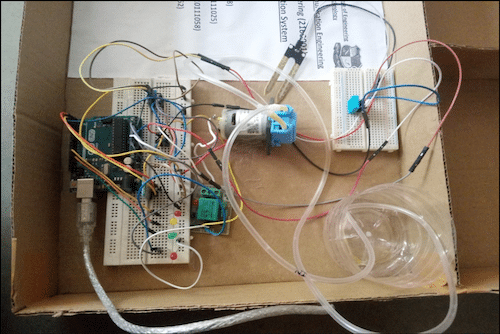 Author's Prototype for Smart Irrigation System