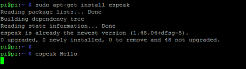 installing espeak