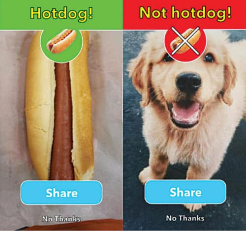 Screenshot of Not Hotdog app 