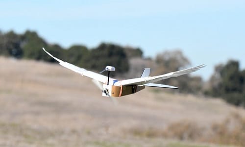 Birdlike Flying Robot Could be the Future of Aircrafts and Drones