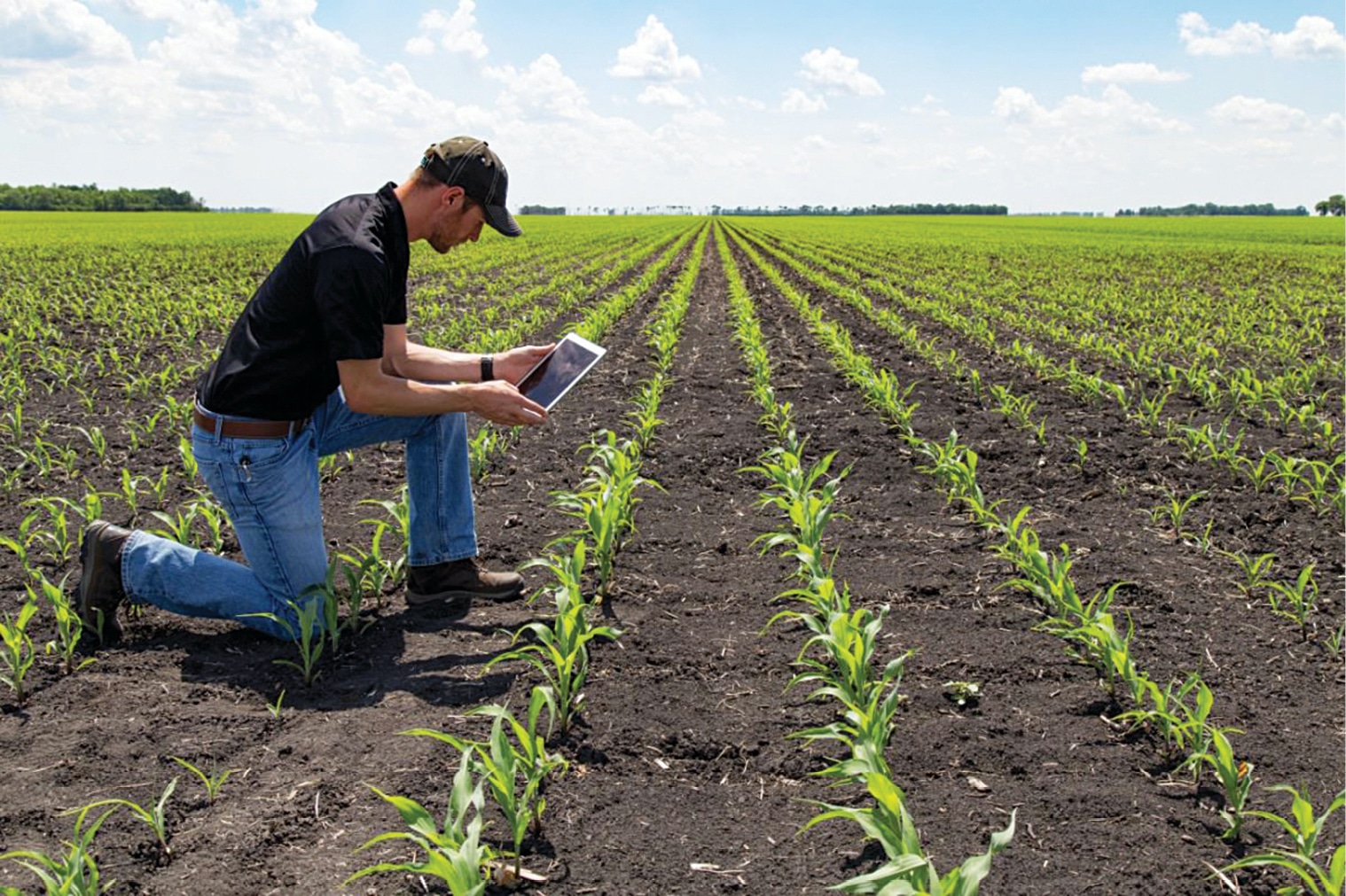 How Agri Businesses Are Embracing Digital Technology