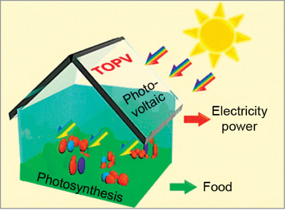 How To Harvest Electricity From A Greenhouse Rooftop | Must Read
