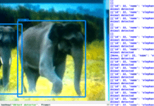 Python-Based Species Classification Wireless Camera For Forest Survey And Monitoring results