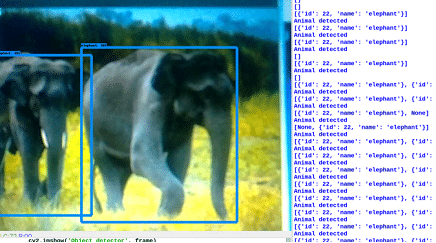 Python-Based Species Classification Wireless Camera For Forest Survey And Monitoring results