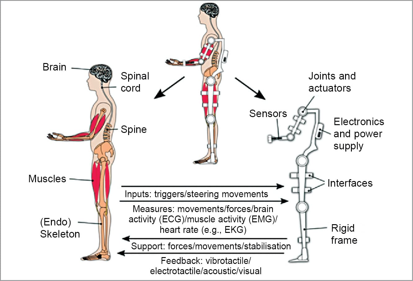 How Exoskeletons Help Reclaim Mobility