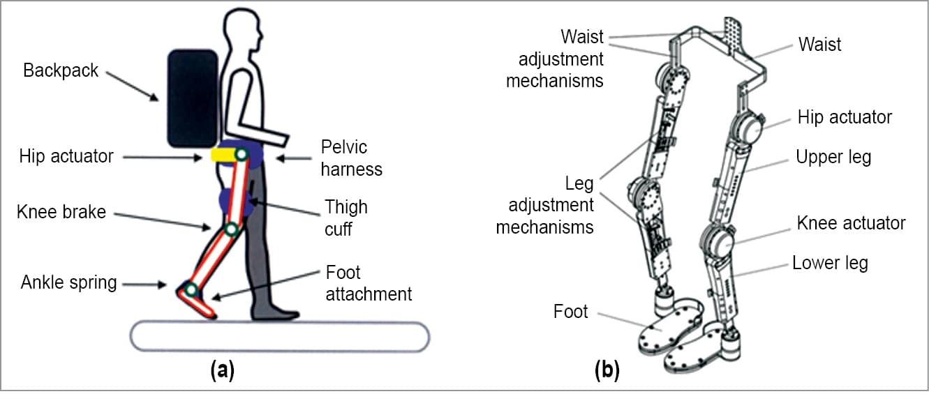 How Exoskeletons Help Reclaim Mobility