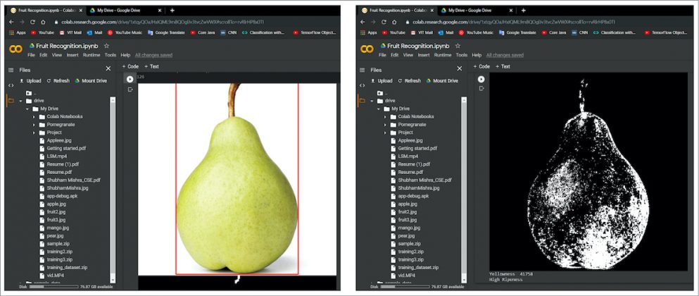 Fruit Classification & Detection Using Deep Convolutional Neural Network