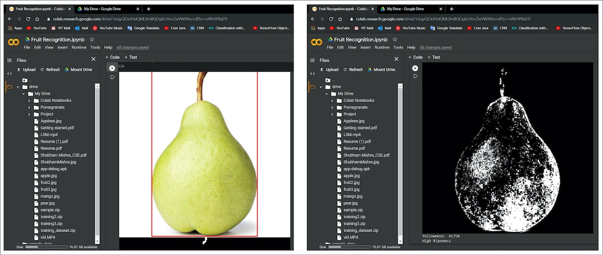 Fruit Classification & Detection Using Deep Convolutional Neural Network