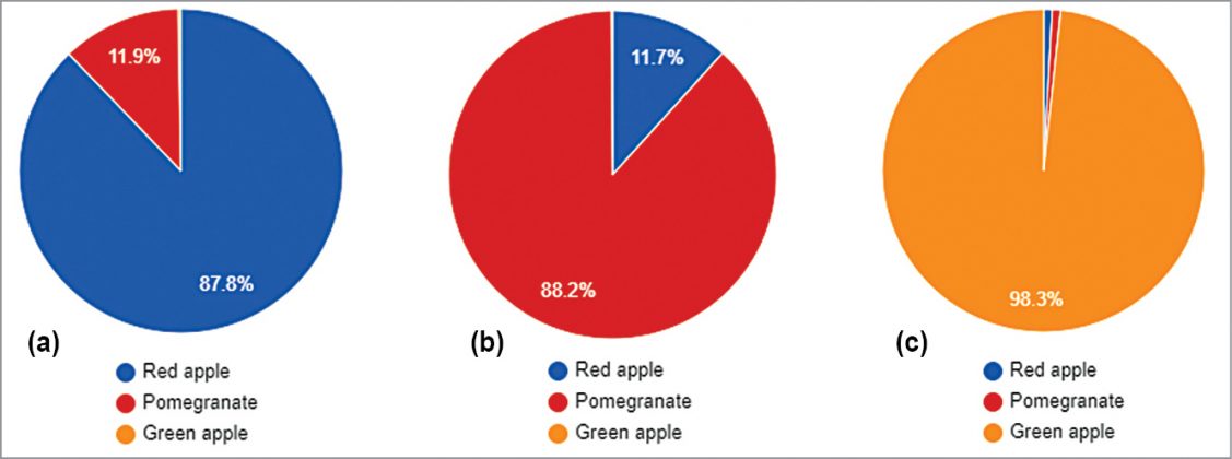 Fruit Classification & Detection Using Deep Convolutional Neural Network