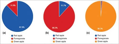 (a) Red apple test, (b) Pomegranate test, (c) Green apple test
