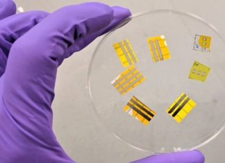 Light-Emitting Smart Tattoo Having Range Of Potential Uses