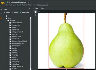 Fruit Classification & Quality Detection Using Deep Convolutional Neural Network