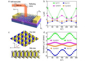 Development Of High Performance Polarization Sensitive Photodetectors