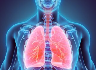 3D Robotic Motion Phantom that Mimics the Human Lung