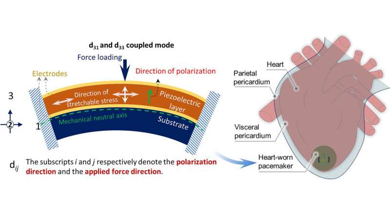 Batteryless Cardiac Pacemaker That Can Harness Heart’s Kinetic Energy