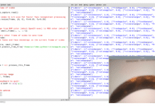 Fresh and Rotten Fruit Detection