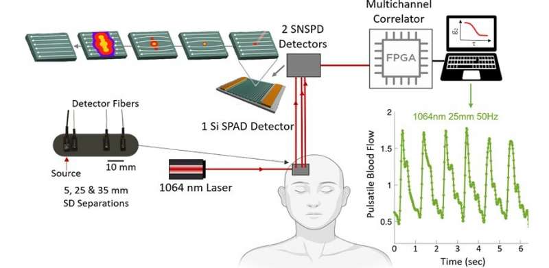 Superconducting Nanowire Single-Photon Detectors For Cerebral Blood Flow Measurement
